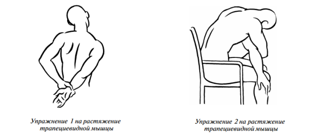 Как расслабить трапециевидную мышцу самостоятельно Как расслабить трапециевидную мышцу самостоятельно
