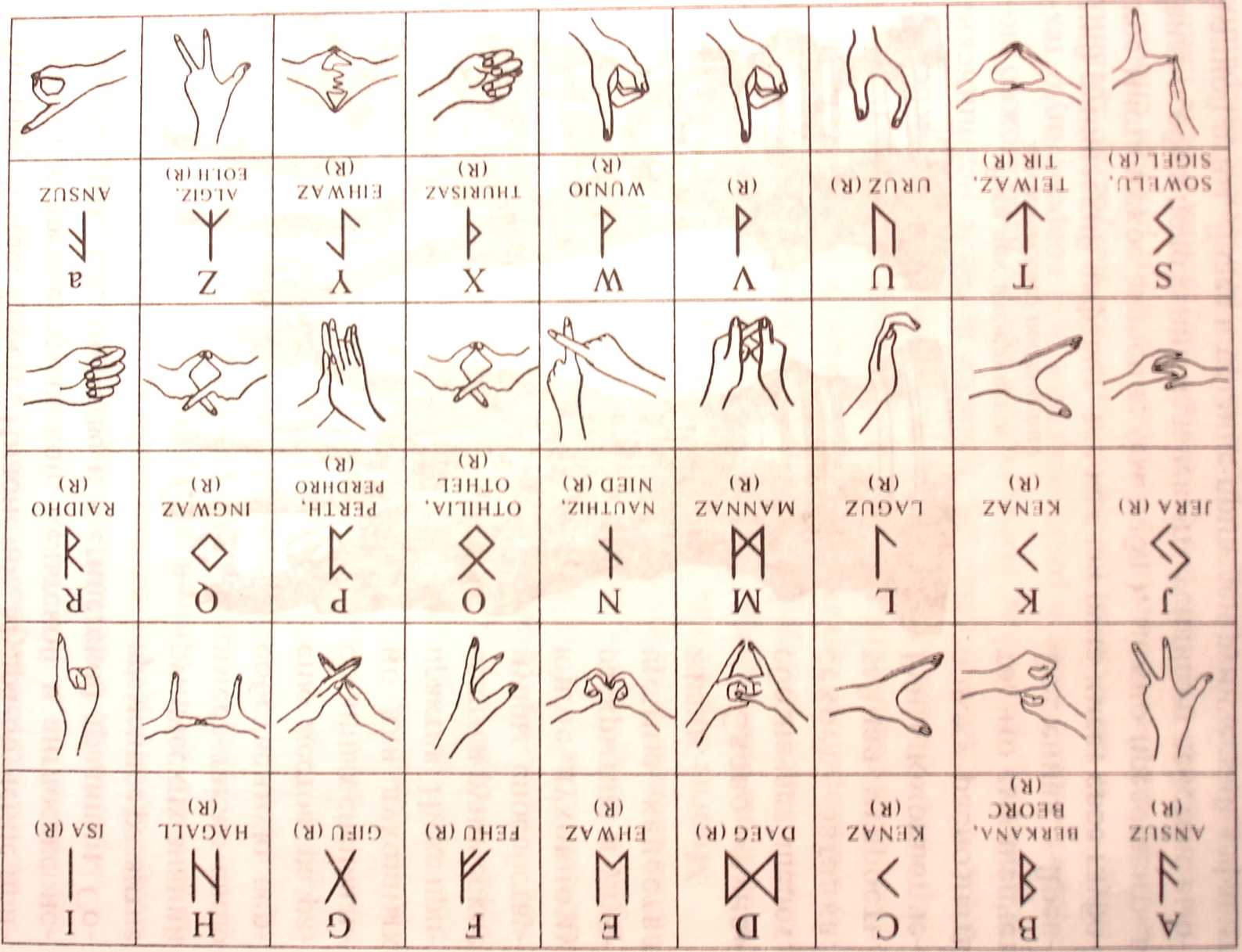 Англосаксонский рунический алфавит. Ассалам алейкум. Старший и младший футарк. Салом олик. Ярилина книга.