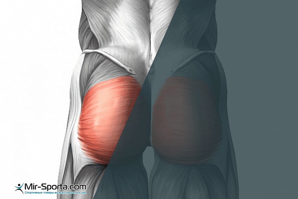 Энтезопатия ягодичных мышц