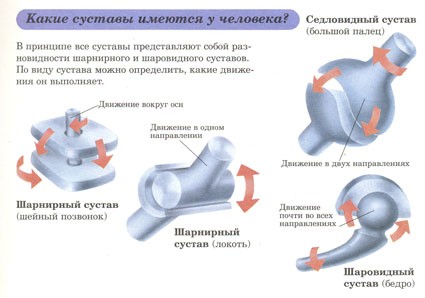 Точка сочленения шарнир