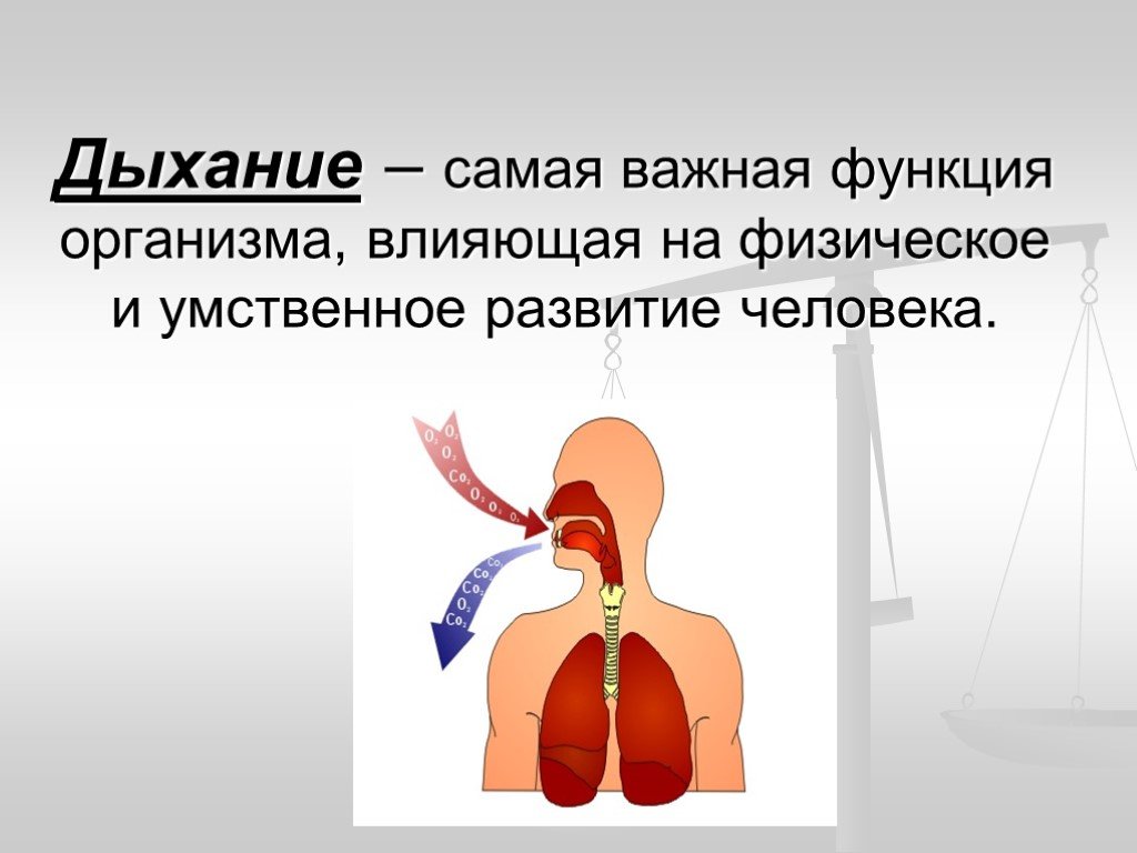 Что самое важное при работе с дыханием. Дыхательная система органов дыхания 3 класс. Дыхание презентация. Презентация на тему дыхание. Презентация на тему дыхание человека.